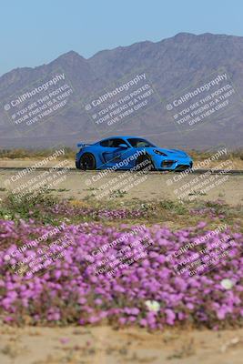 media/Jan-29-2023-PCA San Diego (Sun) [[aa0301ccc2]]/Yellow Group/Session 1 (Turn 15 Bloom)/